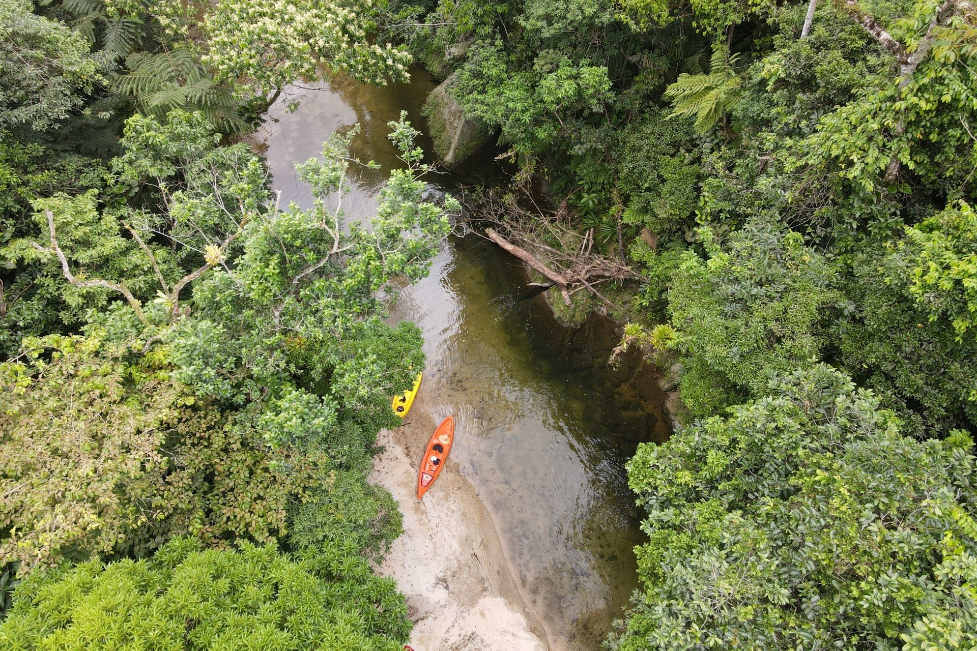 Passeio de caiaque no rio Jaguareguava, em Bertioga, SP